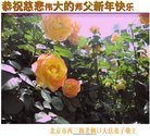 ֹ,󷨵ӹףʦ(23)