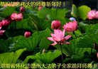 ֹ,ϴ󷨵ӹףʦ(19)