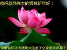 法轮功,湖南大法弟子恭祝师尊新年好(19条)