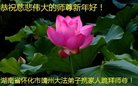 法轮功,湖南大法弟子恭祝师尊新年好(19条)
