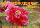 法轮功,河南大法弟子恭祝师尊新年好(25条)