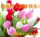 ֹ,մ󷨵ӹףʦ(25)