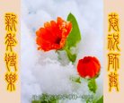 ֹ,󷨵ӹףʦ(21)