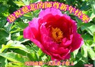ֹ,ɶ󷨵ӹףʦ(22)