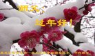 ֹ,󷨵ӹףʦ(19)