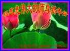 ֹ,ӱ󷨵ӹףʦ(21)