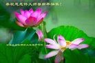 ֹ,ʯׯ󷨵ӹףʦ(20)
