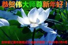 ֹ,ʡ󷨵ӹףʦ(23)