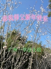 ֹ,ݴ󷨵ӹףʦ(23)