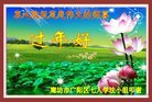 ֹ,ȷ󷨵ӹףʦ(27)