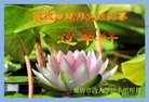 ֹ,ȷ󷨵ӹףʦ(27)