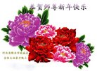 ֹ,ӱ󷨵ӹףʦ(21)
