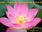 ֹ,󷨵ӹףʦ(22)