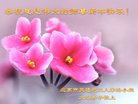 ֹ,󷨵ӹףʦ(22)