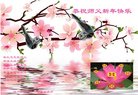 ֹ,Ĵ󷨵ӹףʦ(22)