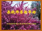 ֹ,󷨵ӹףʦ(22)