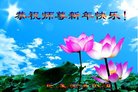 ֹ,󷨵ӹףʦ(21)