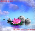 ֹ,Ϻ󷨵ӹףʦ(20)