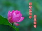 ֹ,󷨵ӹףʦ(21)