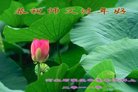ֹ,ʯׯ󷨵ӹףʦ(25)