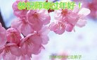 ֹ,󷨵ӹףʦ(23)