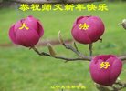 ֹ,󷨵ӹףʦ(20)
