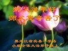 法轮功,哈尔滨大法弟子恭祝师尊新年好(27条)