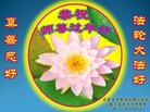 法轮功,石家庄大法弟子恭祝师尊新年好(25条)