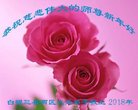 ֹ,󷨵ӹףʦ(24)