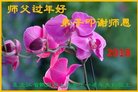 ֹ,󷨵ӹףʦ(19)