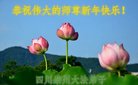 ֹ,ɶ󷨵ӹףʦ(22)