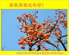 法轮功,黑龙江大法弟子恭祝师尊新年好(19条)