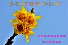 ֹ,󷨵ӹףʦ(21)
