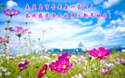 ֹ,ػʵ󷨵ӹףʦ(20)