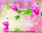 ֹ,󷨵ӹףʦ(22)