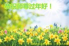 ֹ,󷨵ӹףʦ(20)