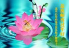 ֹ,󷨵ӹףʦ(22)