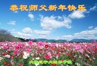 法轮功,辽宁大法弟子恭祝师尊新年好(20条)