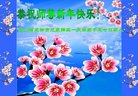 法轮功,成都大法弟子恭祝师尊新年好(19条)