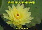 ֹ,󷨵ӹףʦ(25)