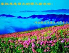 ֹ,󷨵ӹףʦ(23)