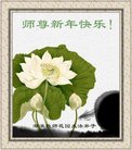 ֹ,󷨵ӹףʦ(19)