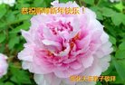 ֹ,󷨵ӹףʦ(22)