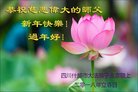 法轮功,四川大法弟子恭祝师尊新年好(23条)