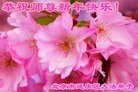 ֹ,󷨵ӹףʦ(22)
