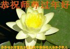 法轮功,齐齐哈尔大法弟子恭祝师尊新年好(20条)