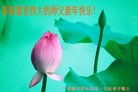 法轮功,广东大法弟子恭祝师尊新年好(30条)