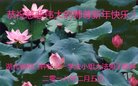 ֹ,󷨵ӹףʦ(21)