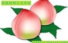 法轮功,张家口大法弟子恭祝师尊新年好(18条)