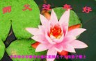 ֹ,󷨵ӹףʦ(20)